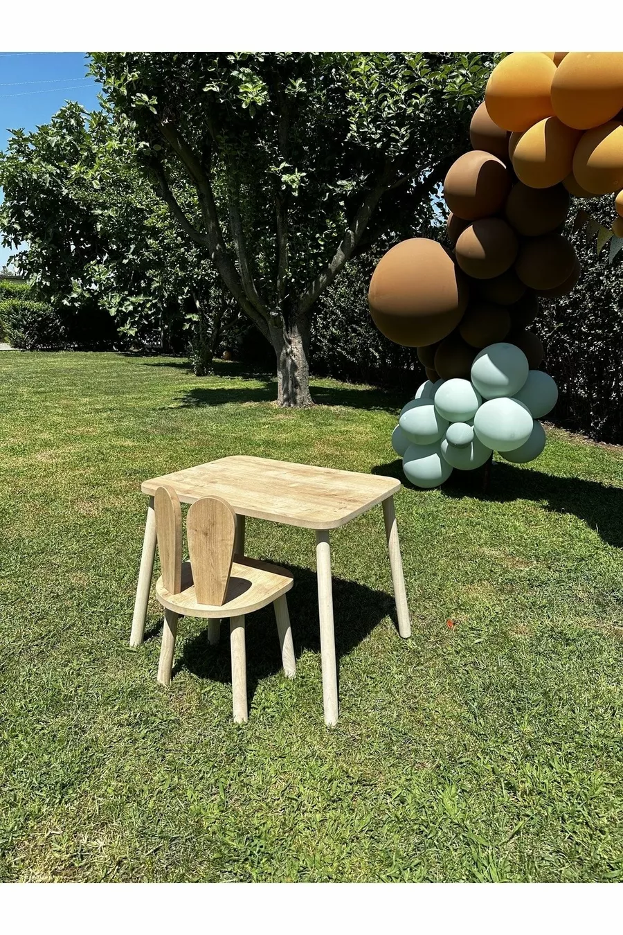 La table pour enfants et 1 chaise