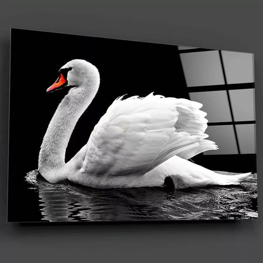Peinture sur verre de cygne