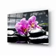Peinture sur verre de spa