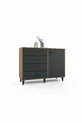 Tokyo Dresser