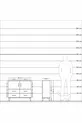 Arges Dresser with 2 Shelves, 4 Drawers, and 2 Doors Pine-Anthracite/Pine