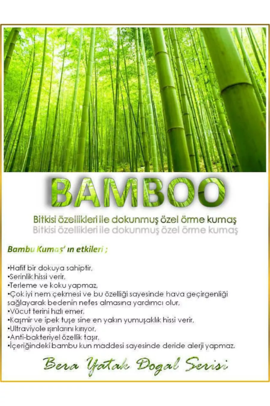 Jungle Bamboo Ортопедическая двухместная пружинная кровать * Ортопедическая пружинная кровать