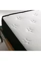 Orthopedisch veerbed Parrot eenpersoons, tweepersoons en kinderveerbedden MET KUSSEN CADEAU