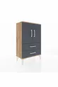 Arges Commode with 2 Shelves, 2 Drawers, and 2 Doors Pine-Anthracite