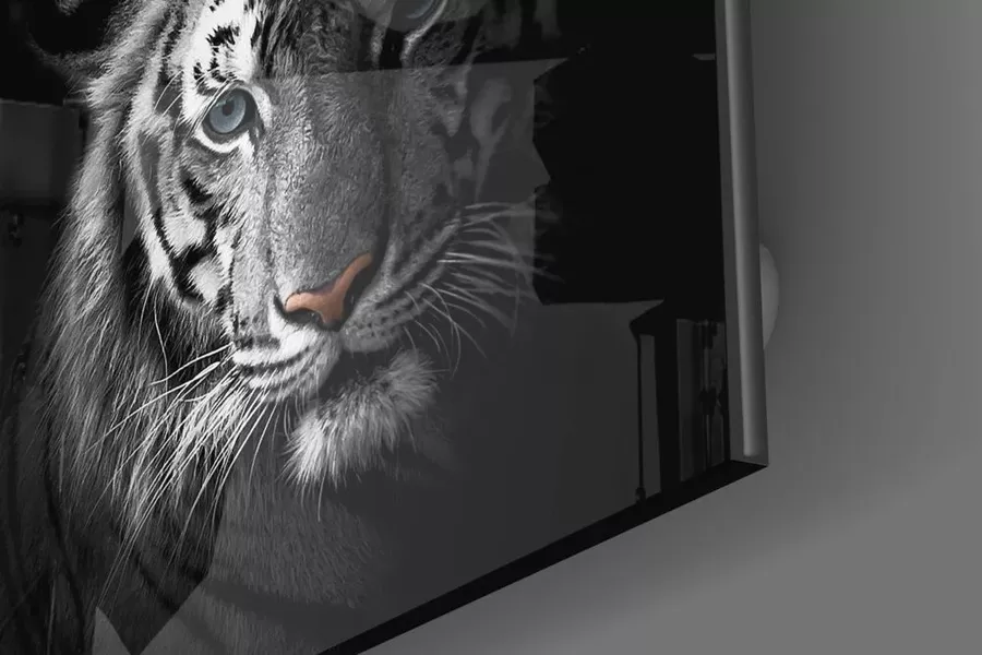 Tigre dans une peinture sur verre noir