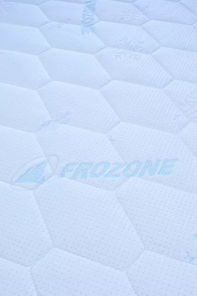 Alez Vostok Fitted Organic Cold Air Conditioning Waterproof Mattress Pad Mattress Cover