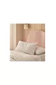 TITRE DE BASE LINDA, ROSE