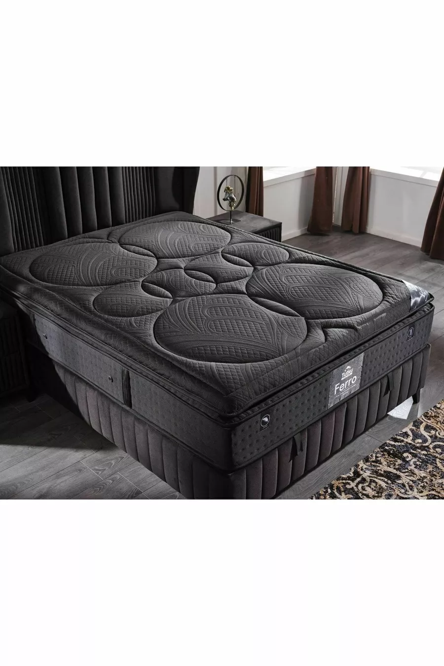 Ferro Orthopedic Regional Bag Spring System Bed