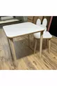 Set Tavolo e Sedie per Bambini Tavolo Attività Tavolo da Lavoro 1 Tavolo 1 Sedia Coniglio Bianco
