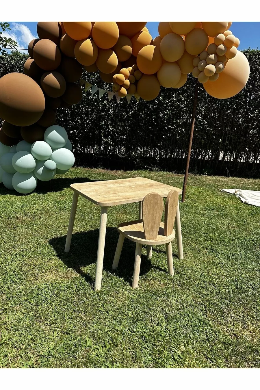 La table pour enfants et 1 chaise