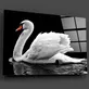 Peinture sur verre de cygne