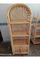 Plastic Wicker 4-Shelf 1-Door Bookcase