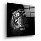 Tigre dans une peinture sur verre noir
