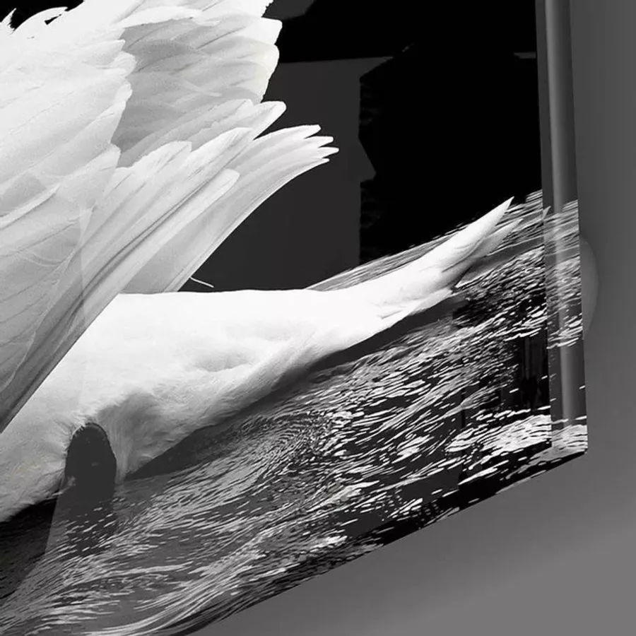 Peinture sur verre de cygne