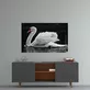 Peinture sur verre de cygne