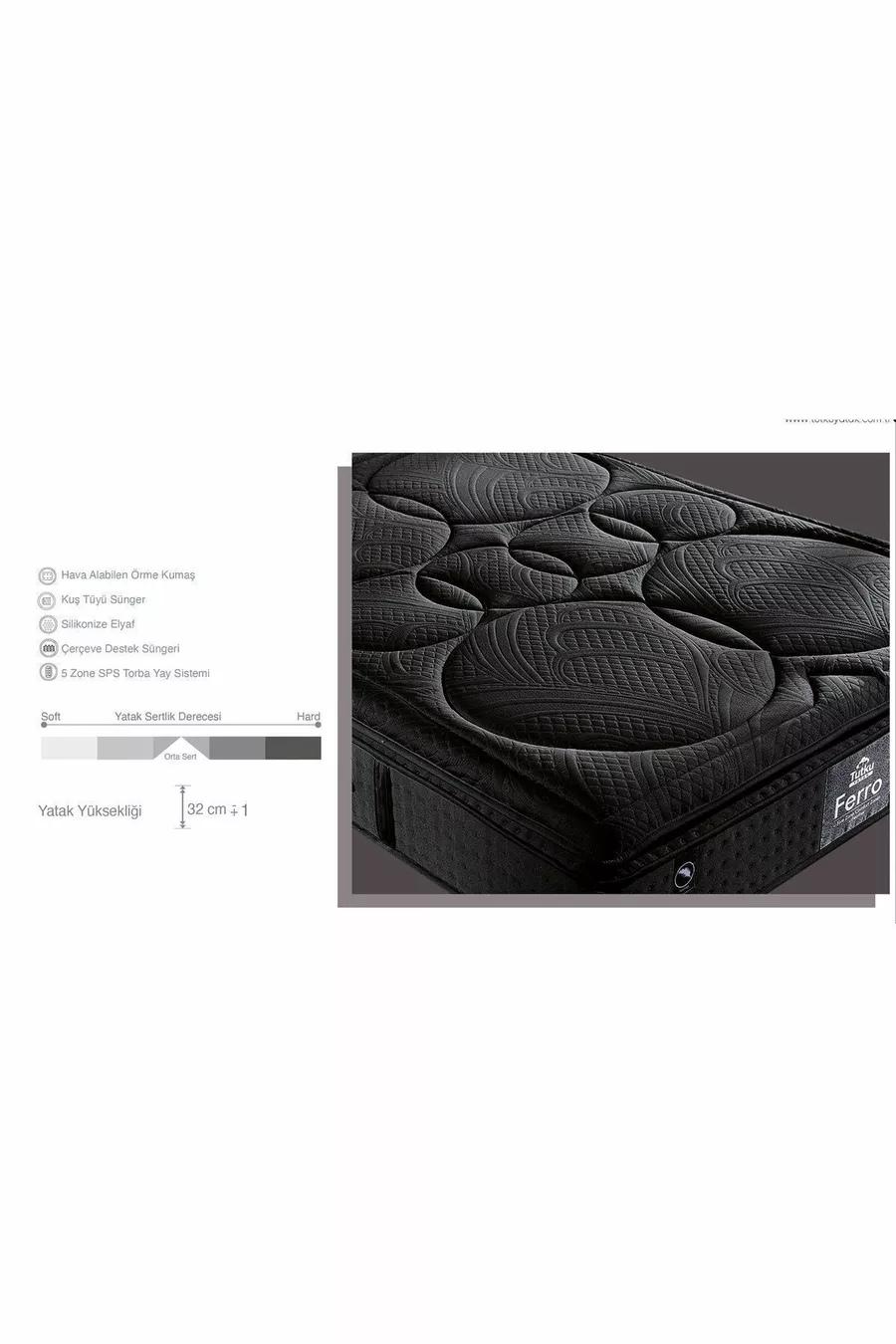 Ferro Orthopedic Regional Bag Spring System Bed