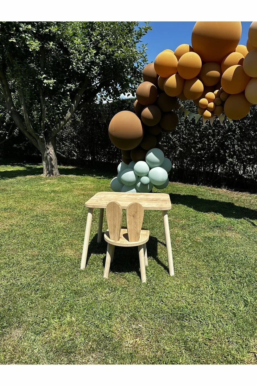 La table pour enfants et 1 chaise