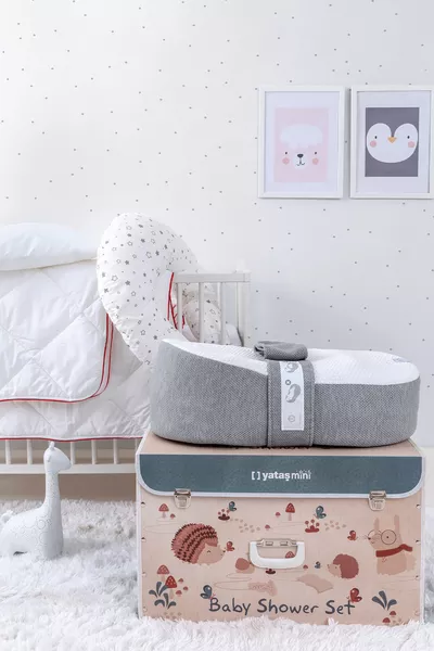 Baby Shower Newborn Set